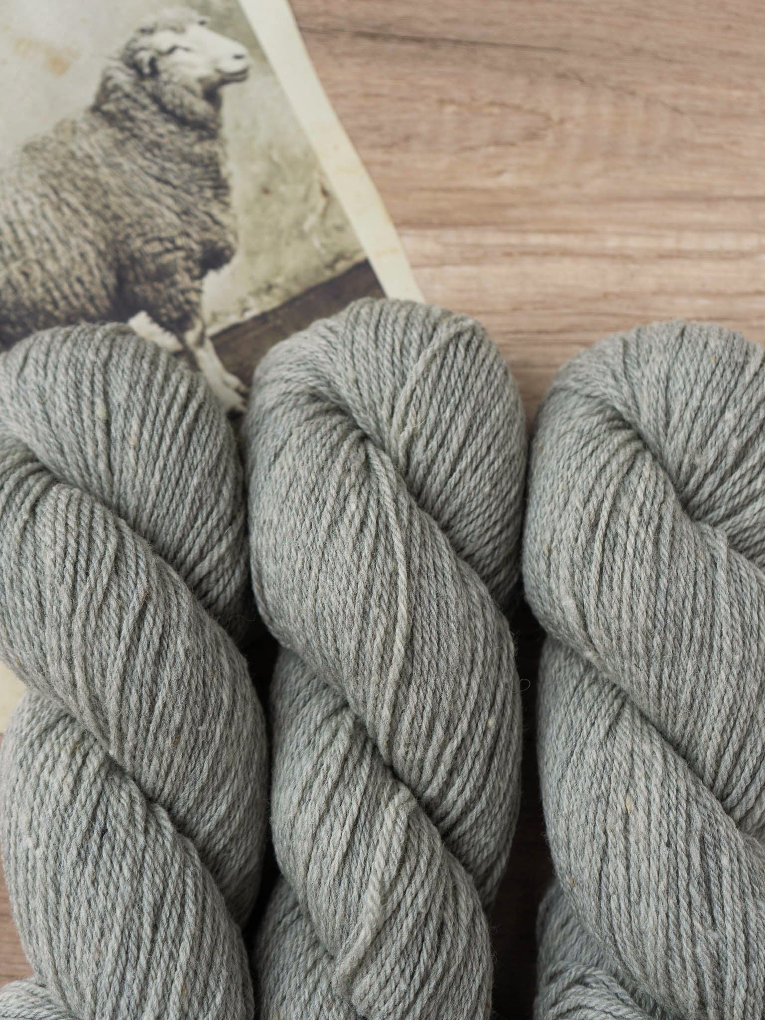 Polypay Worsted