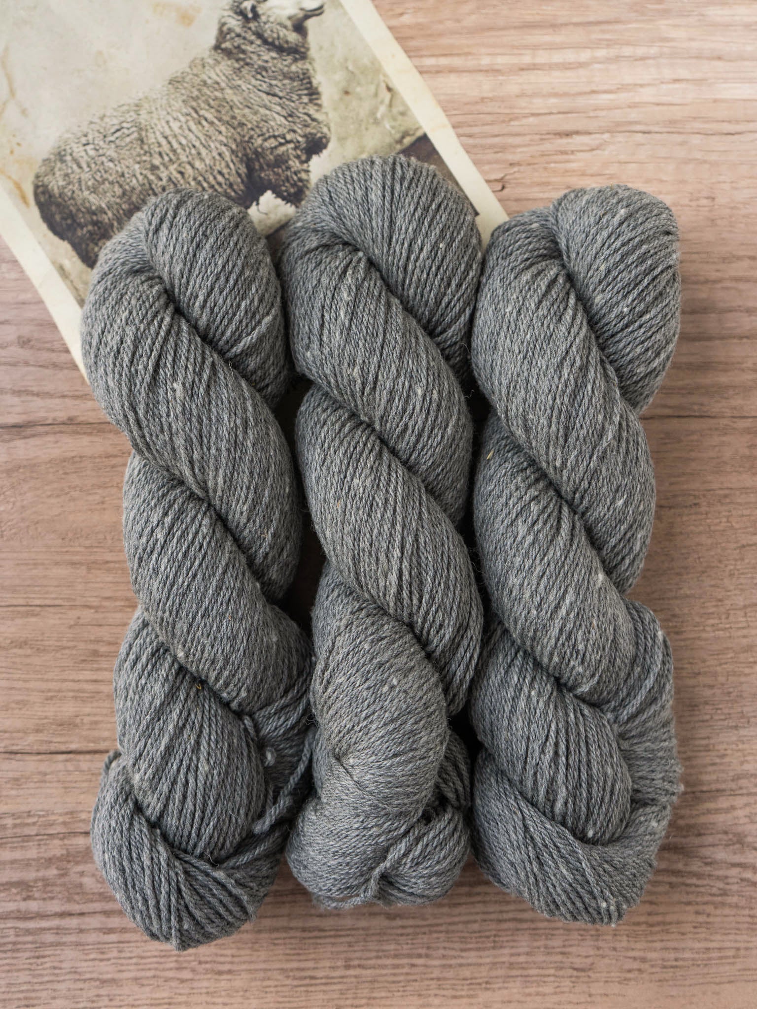 Polypay Worsted