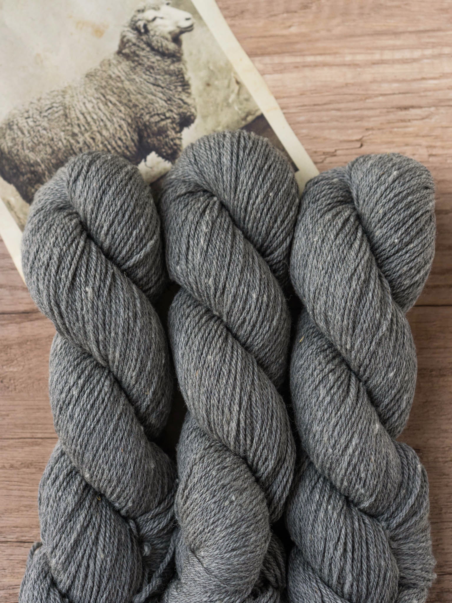 Polypay Worsted