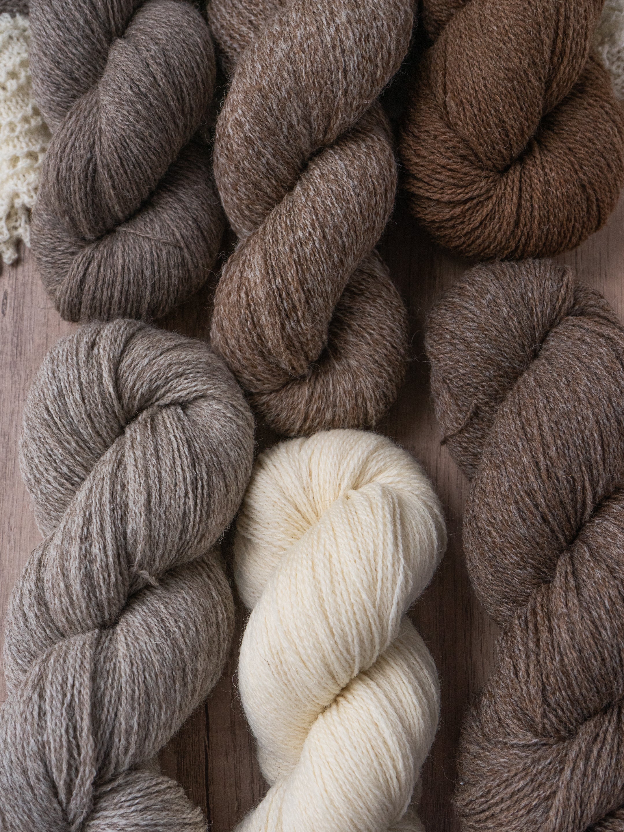 Shetlandia Sport <br><small>100% british shetland wool</small>