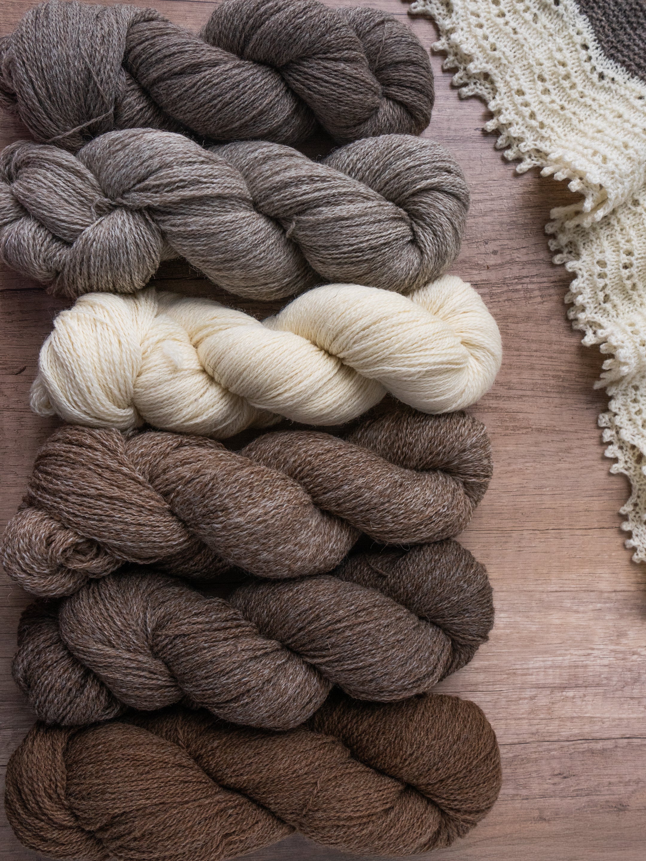 Shetlandia Sport <br><small>100% british shetland wool</small>