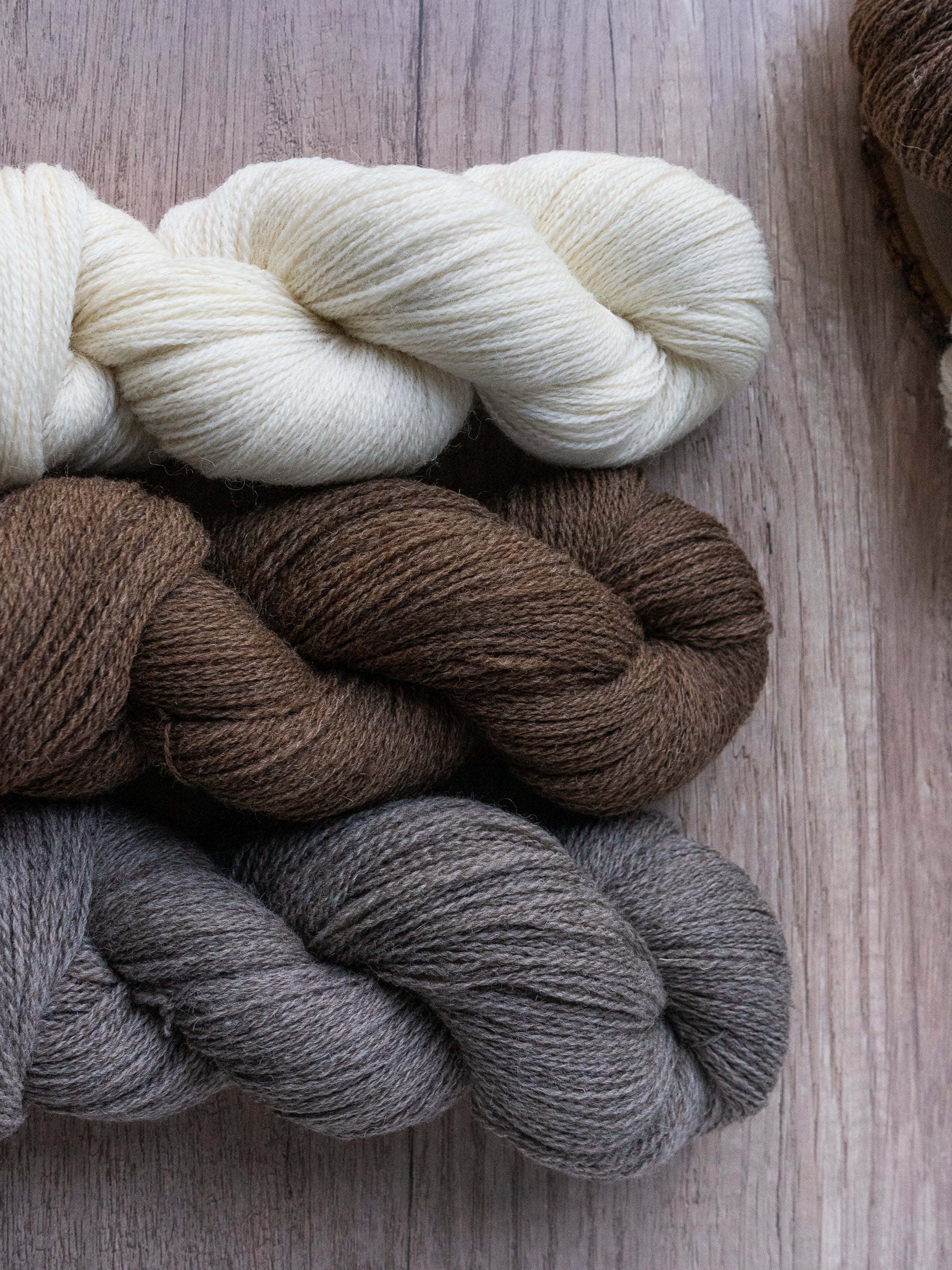 Shetlandia Fingering <br><small>100% british shetland wool</small>