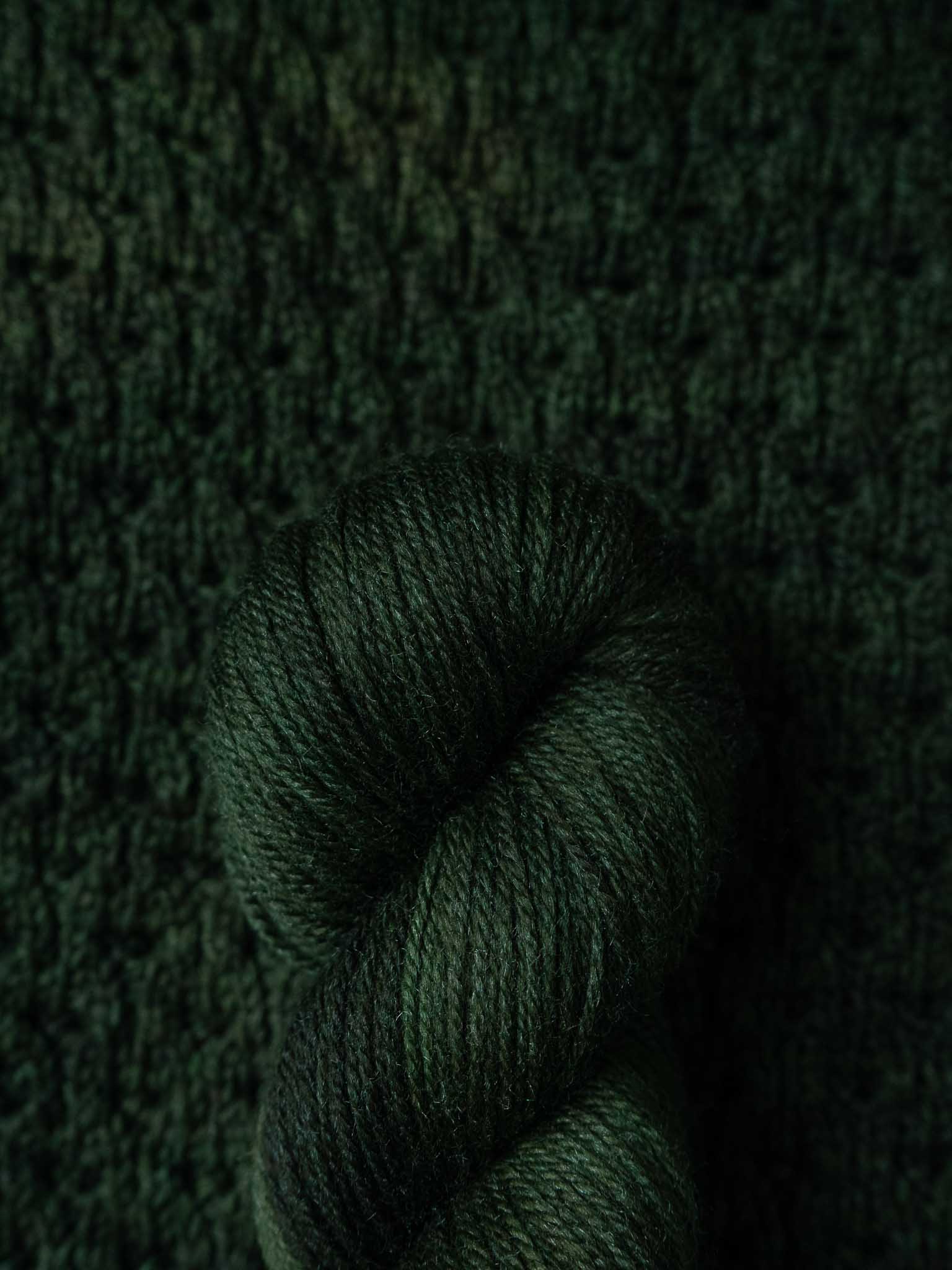 Special Edition DK polwarth & silk