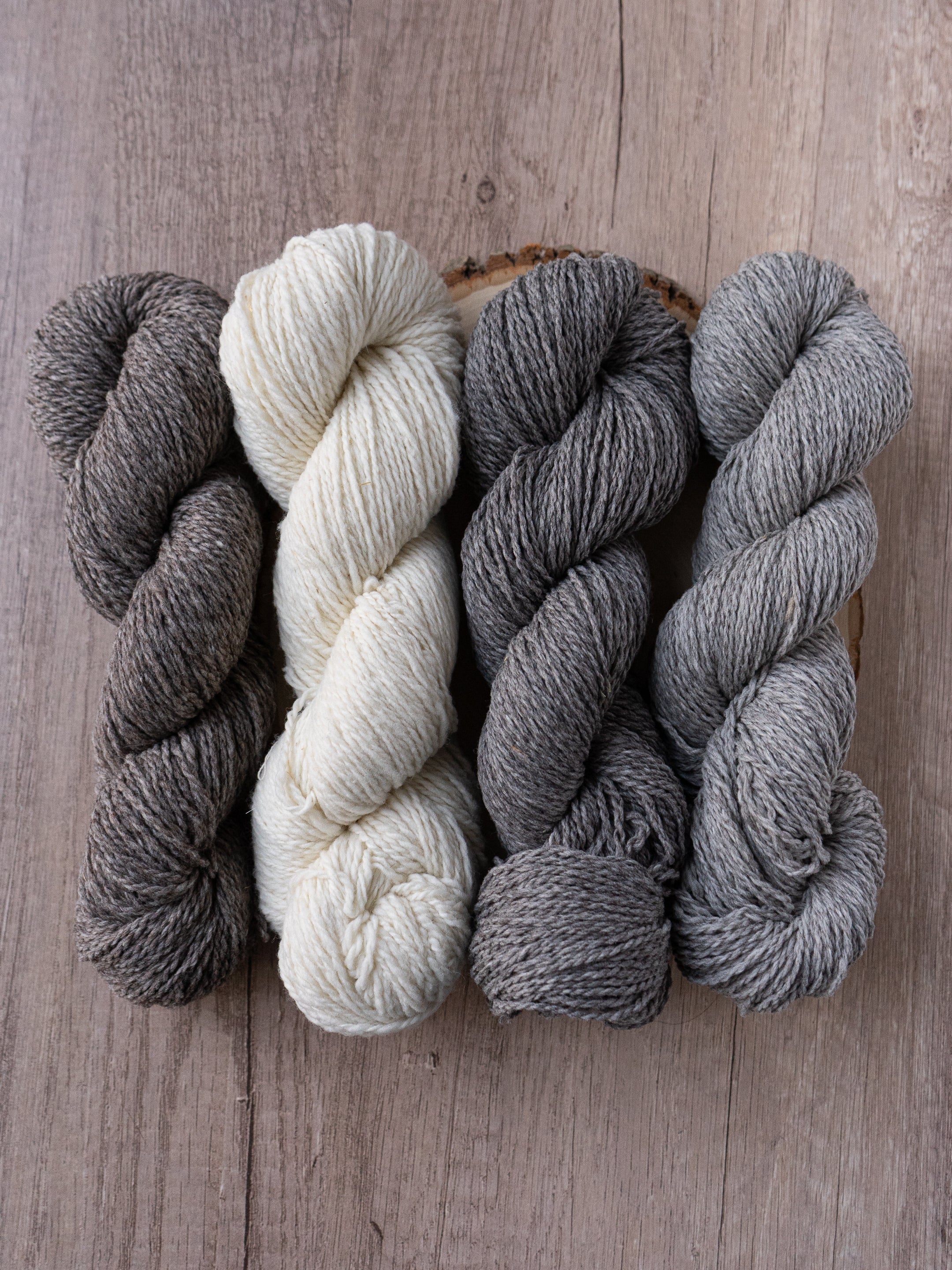 Targhee Tango Worsted <br><small>100% targhee wool</small>