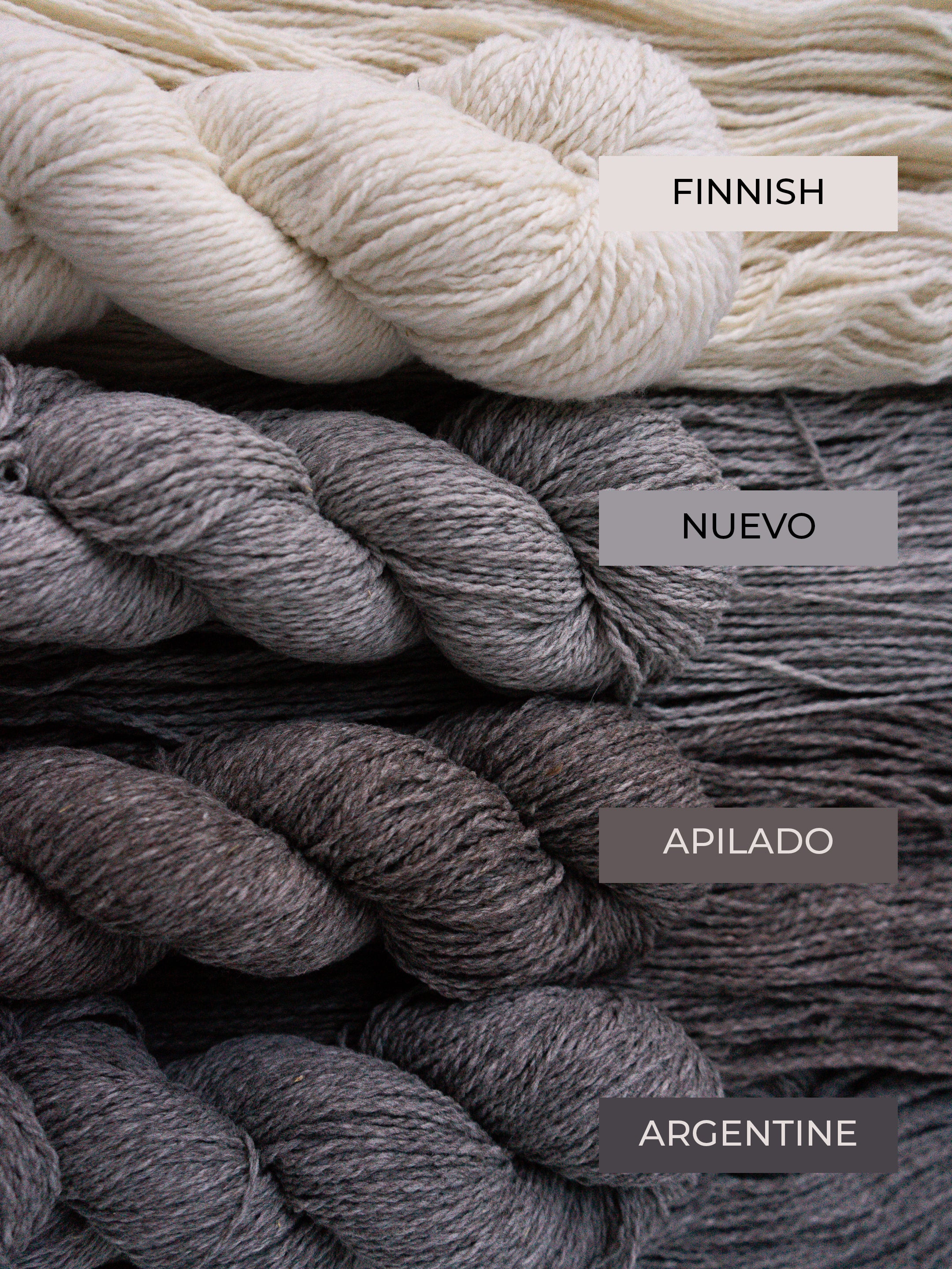 Targhee Tango Worsted <br><small>100% targhee wool</small>