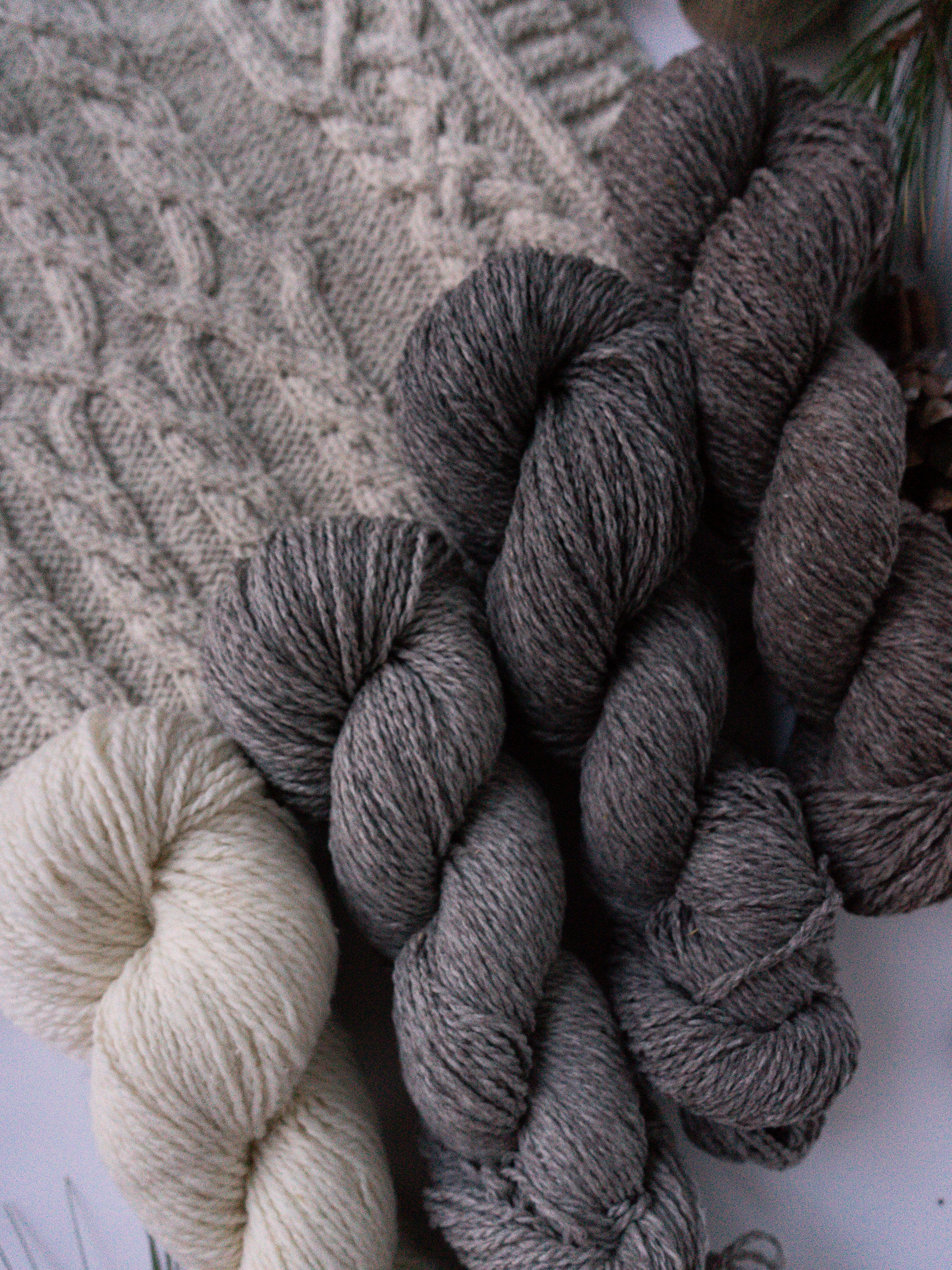 Targhee Tango Worsted <br><small>100% targhee wool</small>