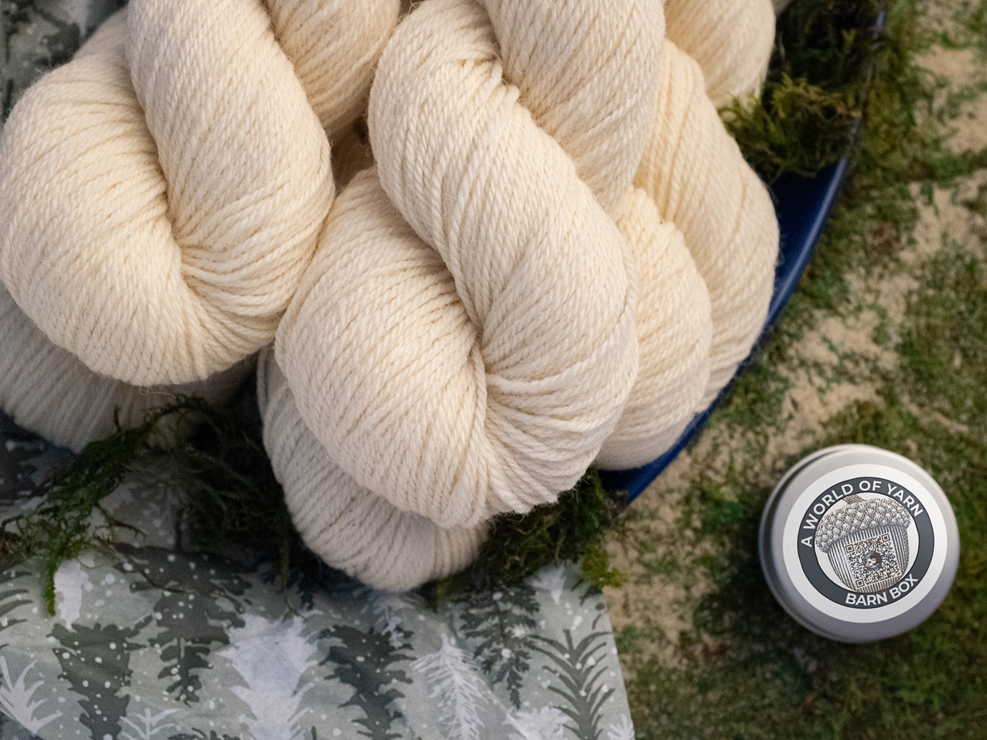 Dorset DK