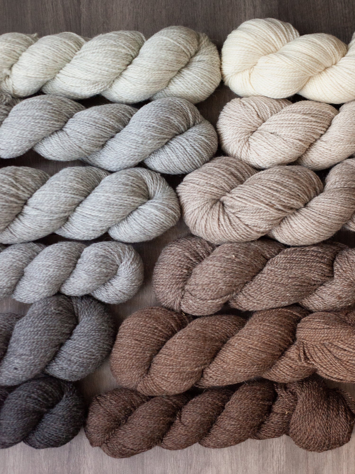 Kent DK <br><small>merino & romney</small>