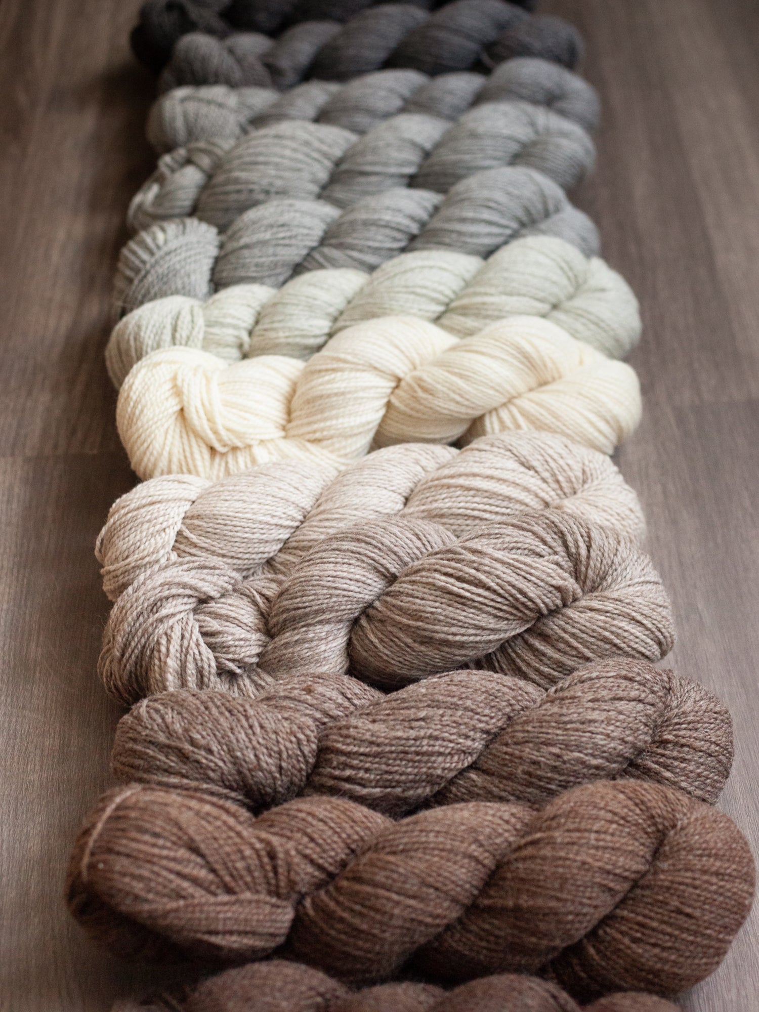 Kent DK <br><small>merino & romney</small>