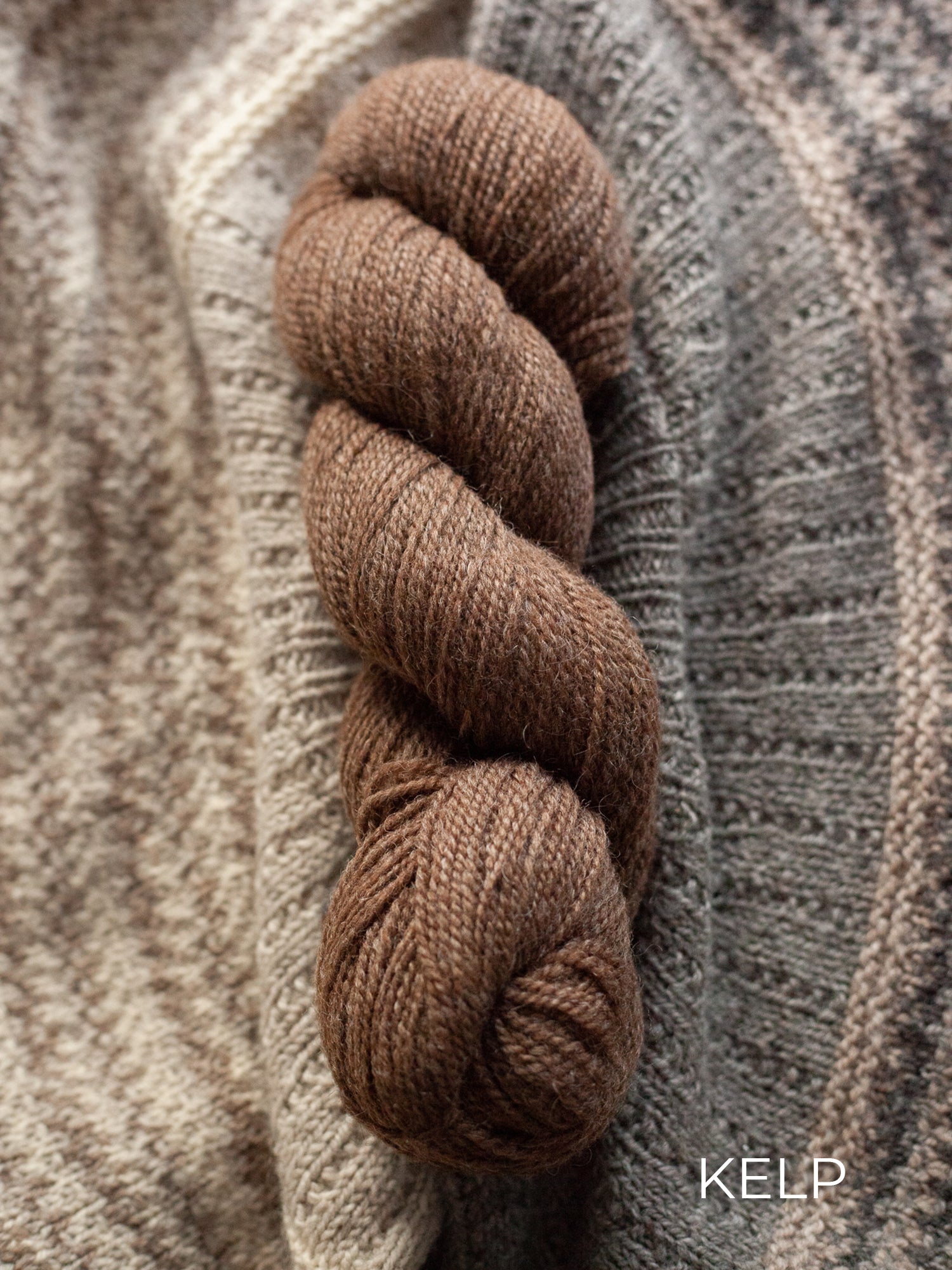 Kent DK <br><small>merino & romney</small>