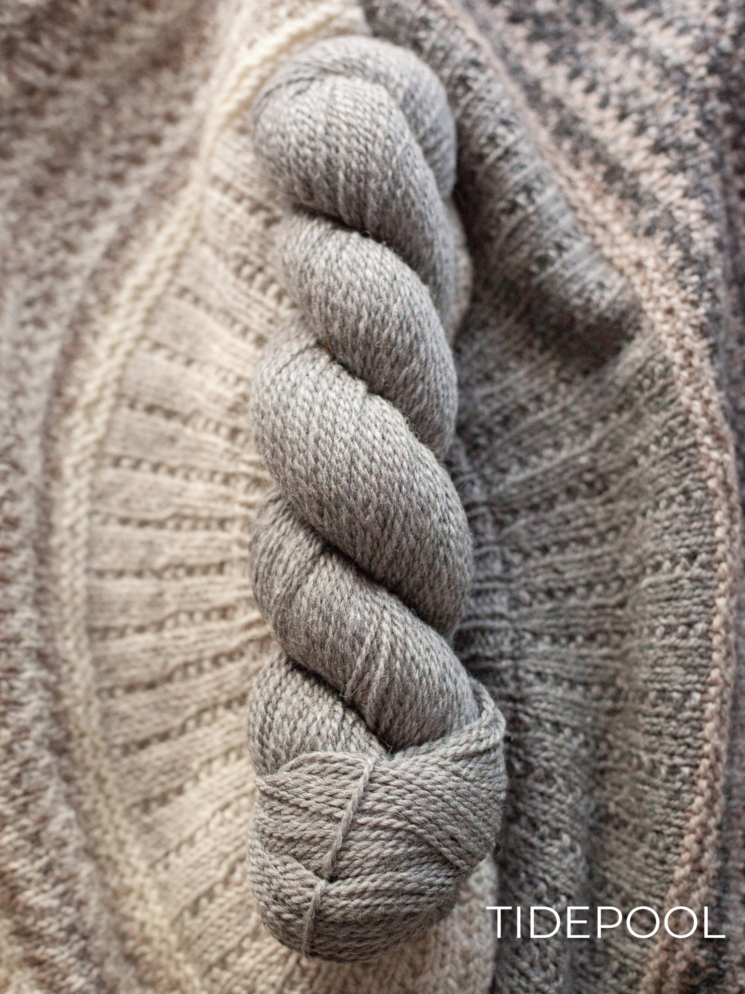 Kent DK <br><small>merino & romney</small>