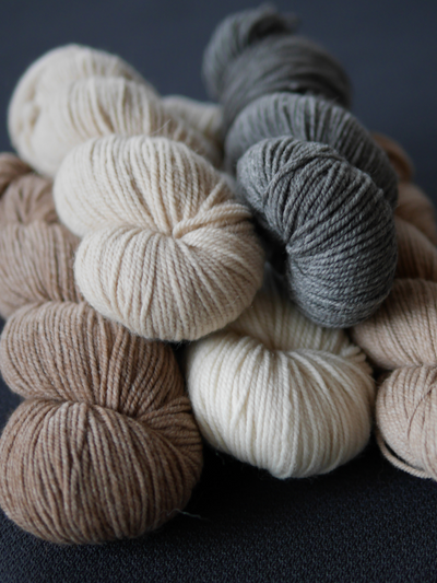 Breakfast Blend DK Merino & alpaca