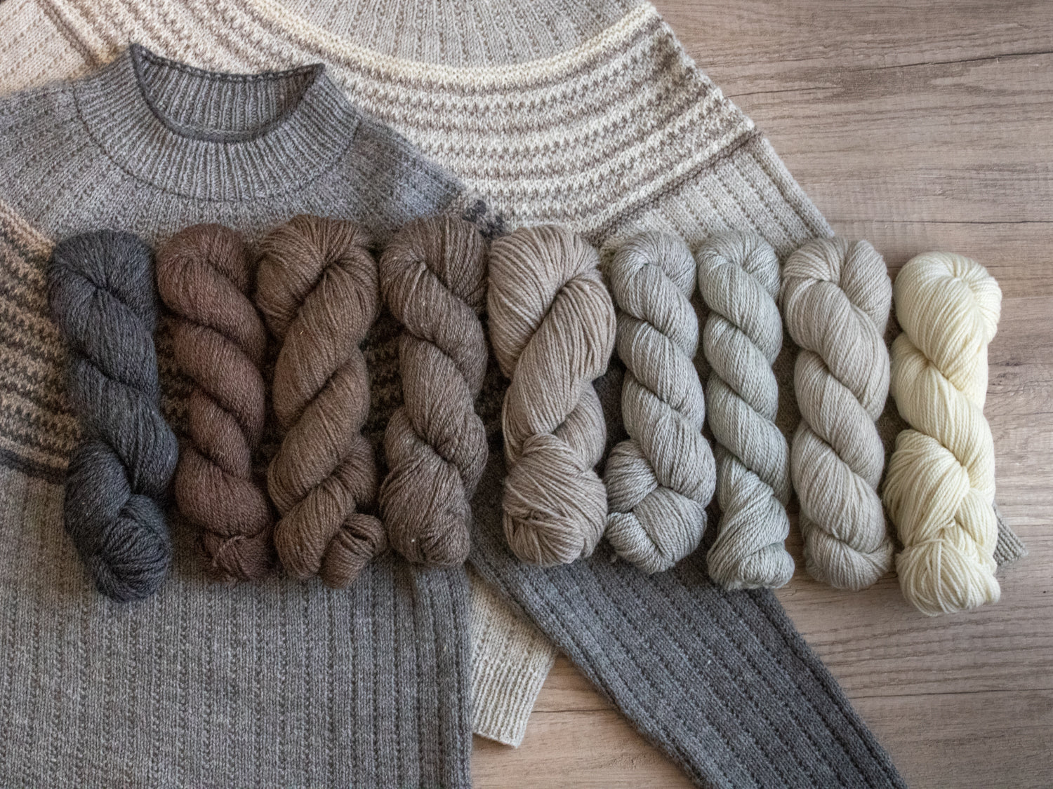 Kent DK <br><small>merino & romney</small>