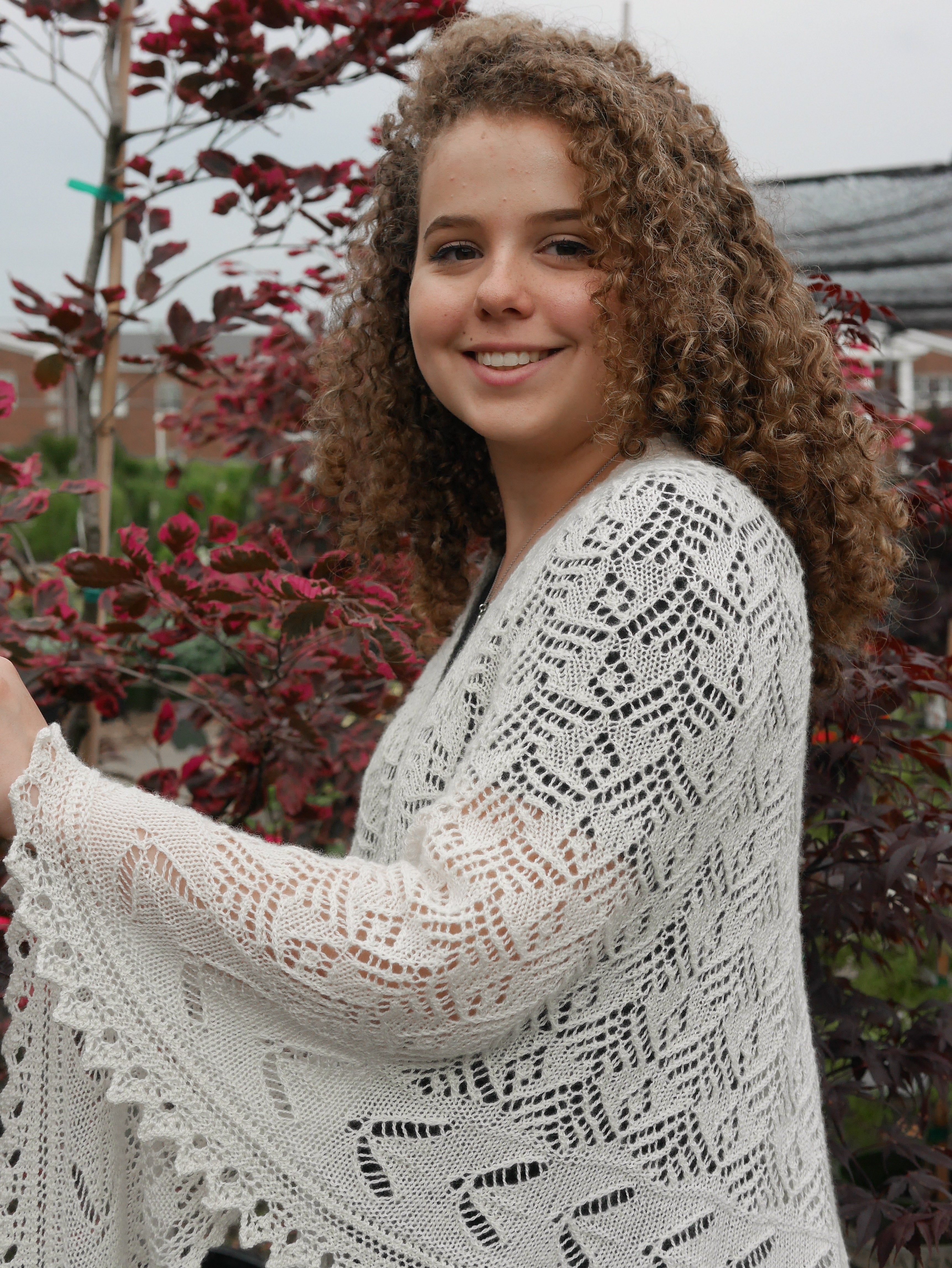 Lacewing <br/><small>knitting pattern</small>