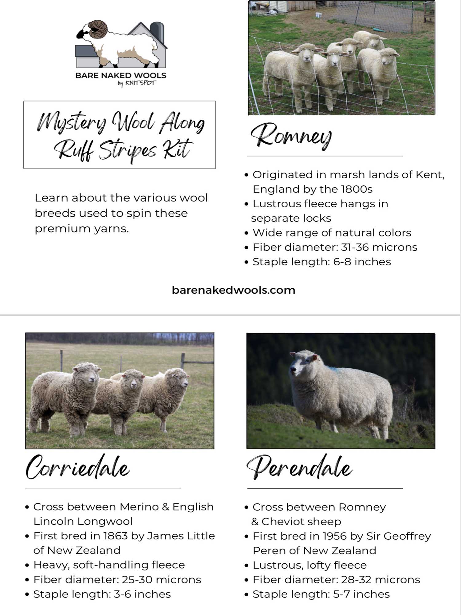 Printable Mystery Wool Along Ruff Stripes Sheep Information