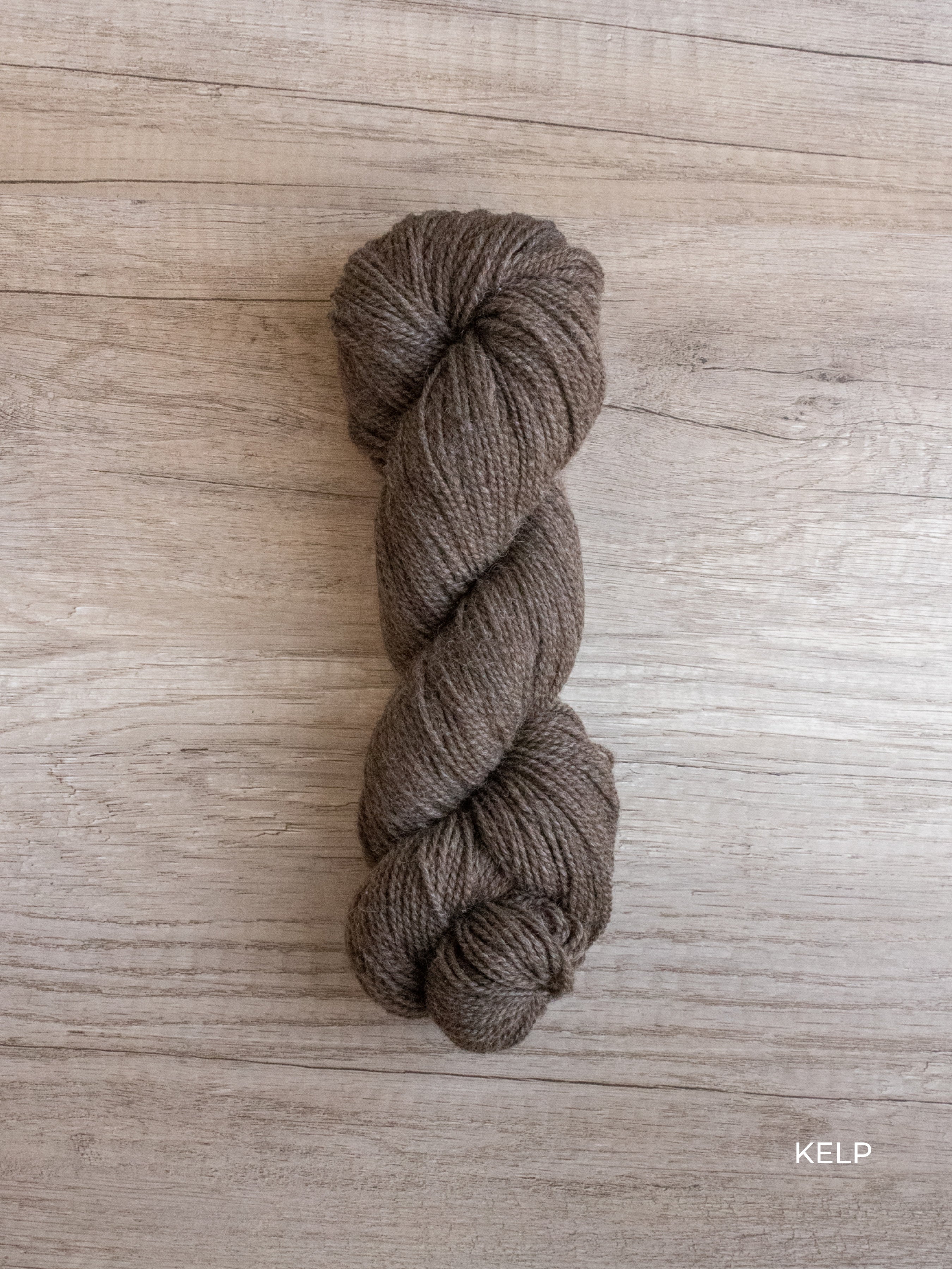 Kent DK <br><small>merino & romney</small>