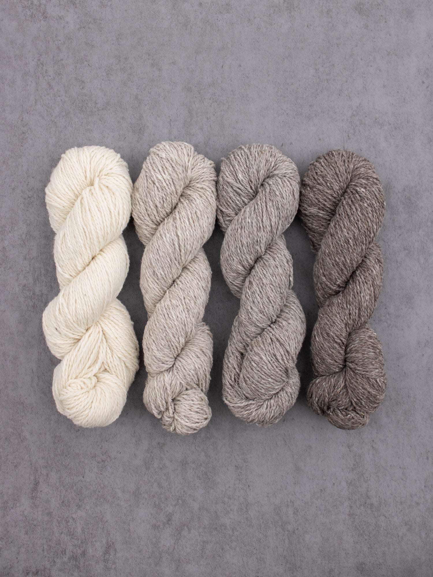 Targhee Tango Worsted <br><small>100% targhee wool</small>