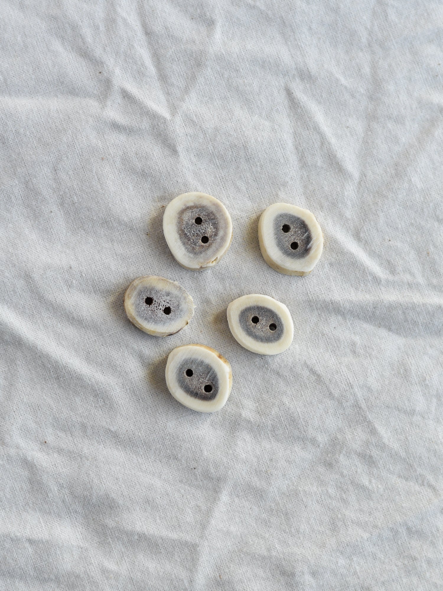 Doe Antler Buttons