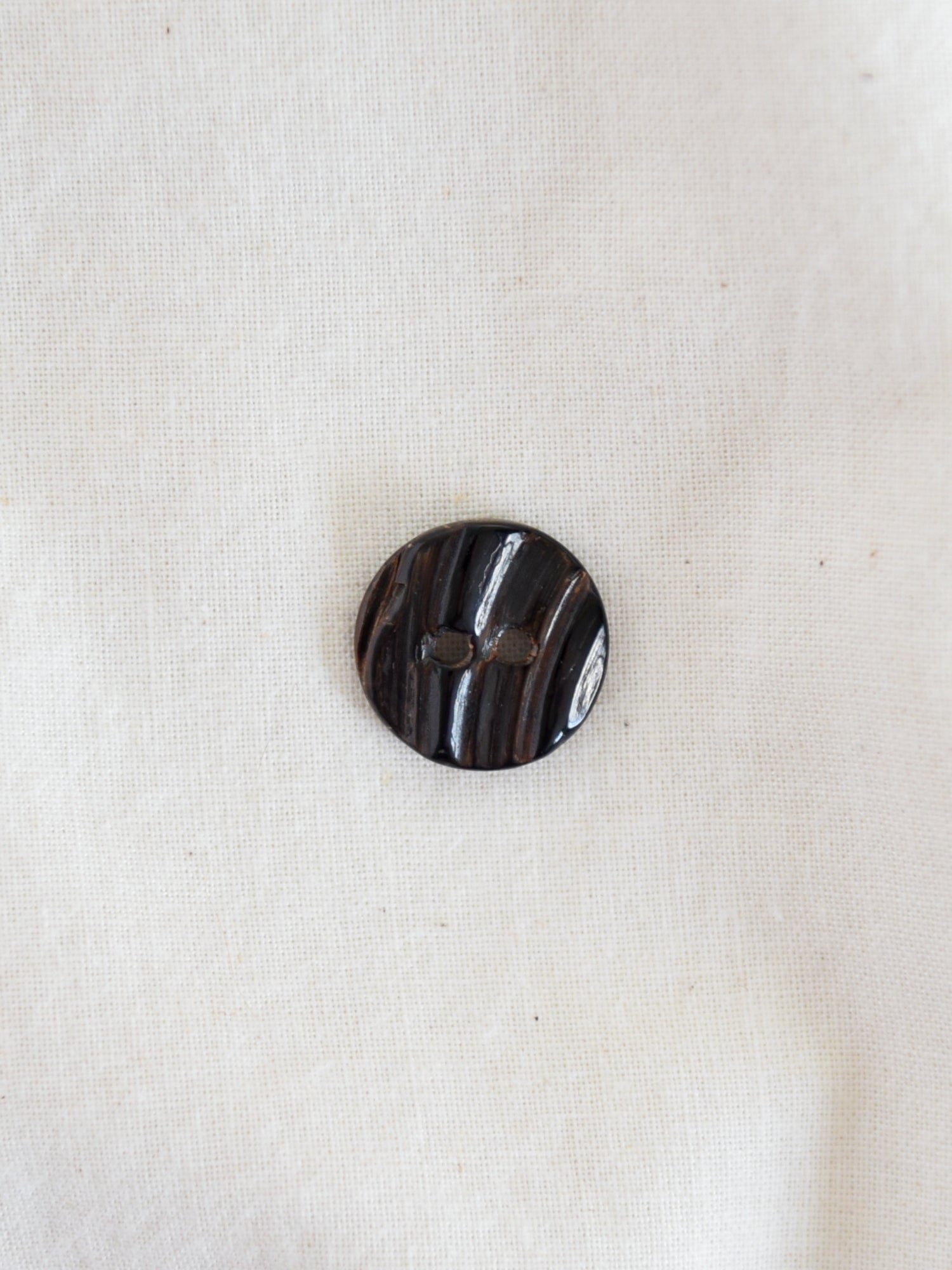 Brown Mussel Button
