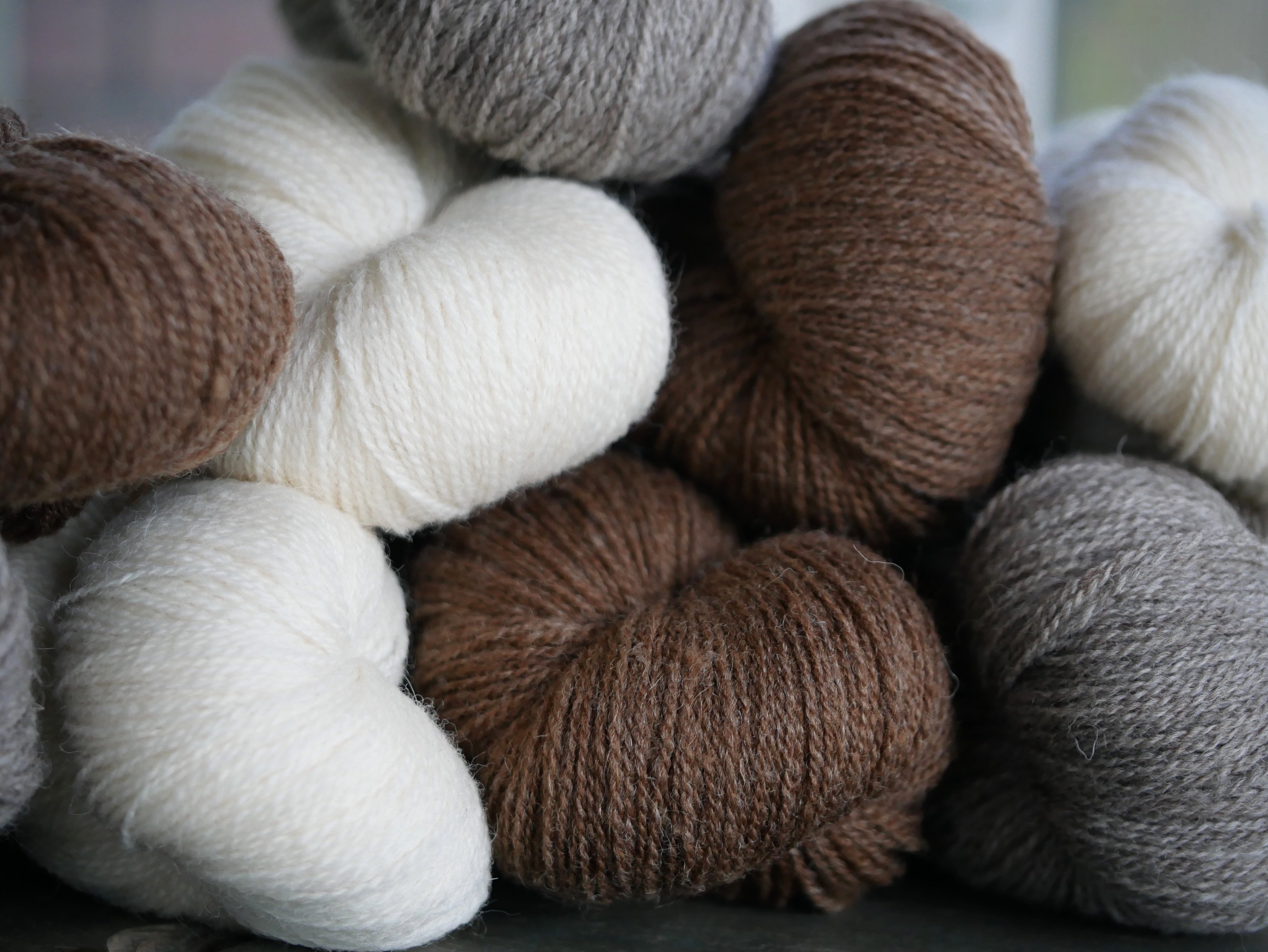 Shetlandia Fingering <br><small>100% british shetland wool</small>