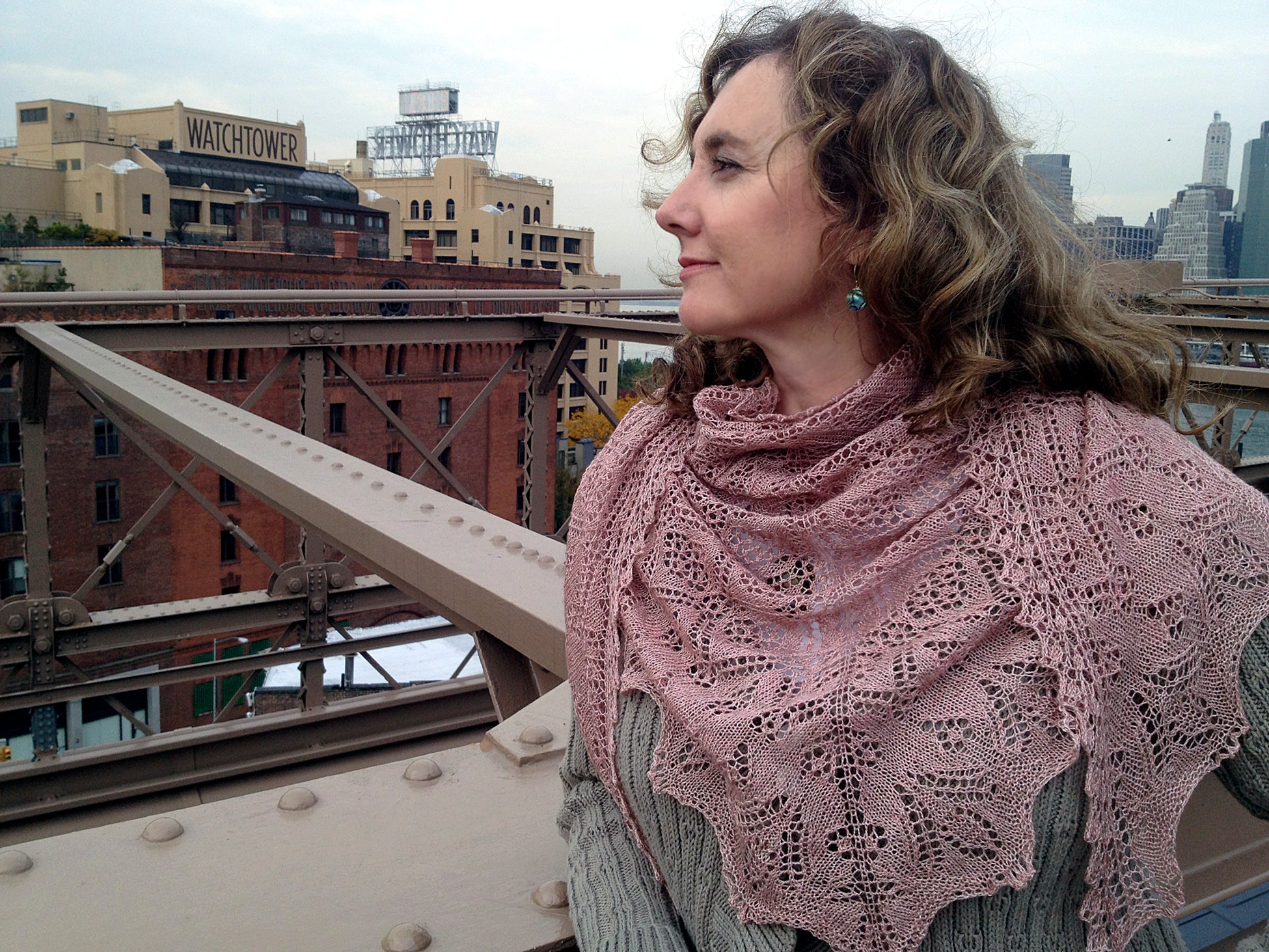 Wasp and Rose Lace Shawl <br/><small>knitting pattern</small>